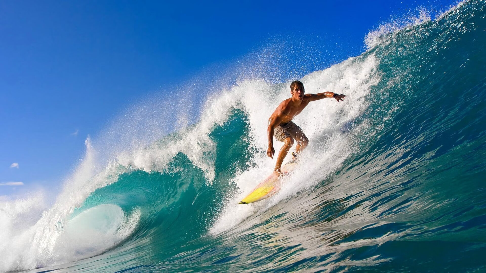 绿茵与硬木的平行叙事，当欧冠淘汰赛的焦点战，遇见雄鹿强行终结北京队的夜晚